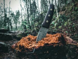 Knife in stump