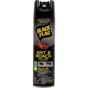 Insect Spray Diversion Safe – Hidden Compartment