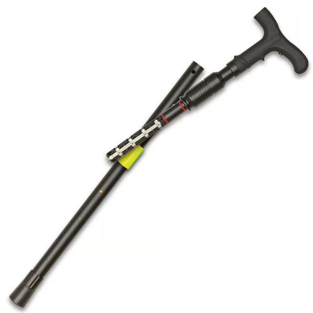 ZAPCOVERTCANE_a.jpg