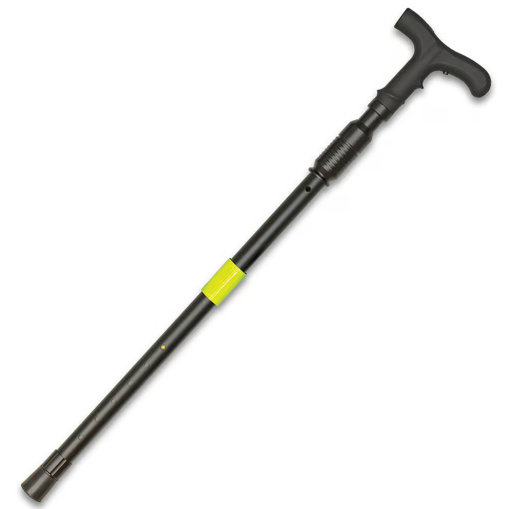 ZAPCOVERTCANE_b.jpg