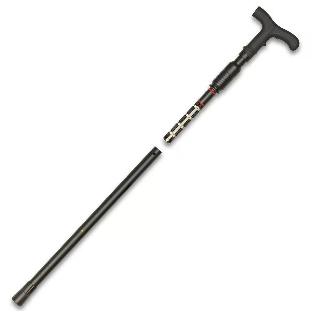 ZAPCOVERTCANE_c.jpg